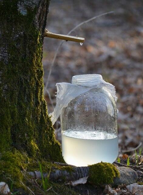 Birch sap